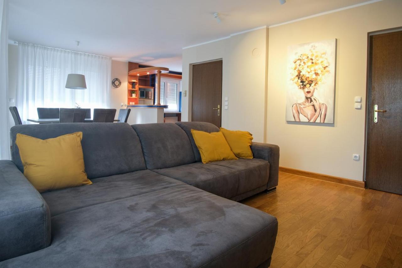 M16 Spacious And Bright Apartment 卢布尔雅那 外观 照片
